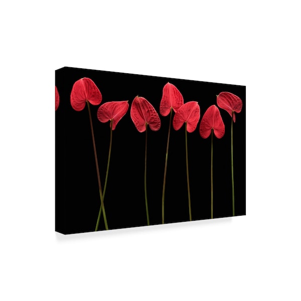 Floriana Barbu 'Botanical Hearts' Canvas Art,12x19